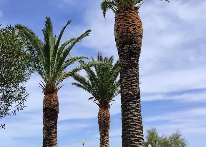 In Argeles-sur-mer, With Pool ארגלס-סור-מר